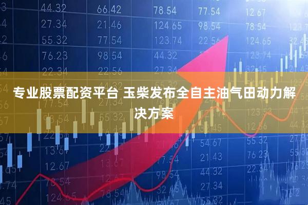 专业股票配资平台 玉柴发布全自主油气田动力解决方案