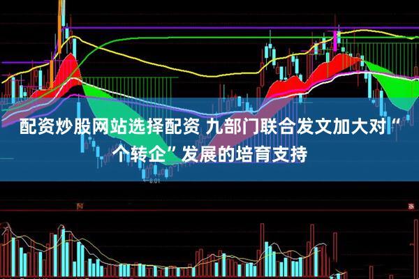 配资炒股网站选择配资 九部门联合发文加大对“个转企”发展的培育支持