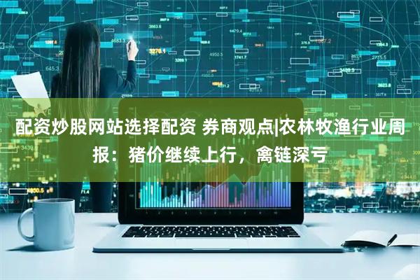 配资炒股网站选择配资 券商观点|农林牧渔行业周报：猪价继续上行，禽链深亏