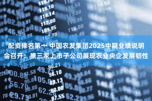 配资排名第一 中国农发集团2025中期业绩说明会召开：携三家上市子公司展现农业央企发展韧性