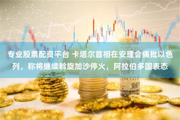 专业股票配资平台 卡塔尔首相在安理会痛批以色列，称将继续斡旋加沙停火，阿拉伯多国表态