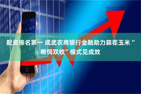 配资排名第一 成武农商银行金融助力蒜茬玉米“粮饲双收”模式见成效
