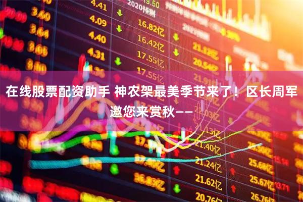 在线股票配资助手 神农架最美季节来了！区长周军邀您来赏秋——